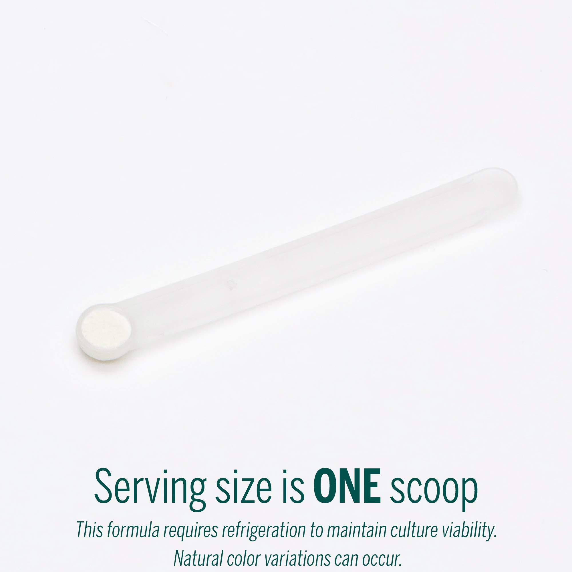 Genestra Brands Genestra Brands HMF Baby B | Probiotic Supplement for Breast Fed Babies | 0.2 Ounces