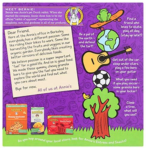 Annie's Homegrown Annie's Organic Chewy Granola Bars, Chocolate Chip, 6 Bars, 5.34 oz