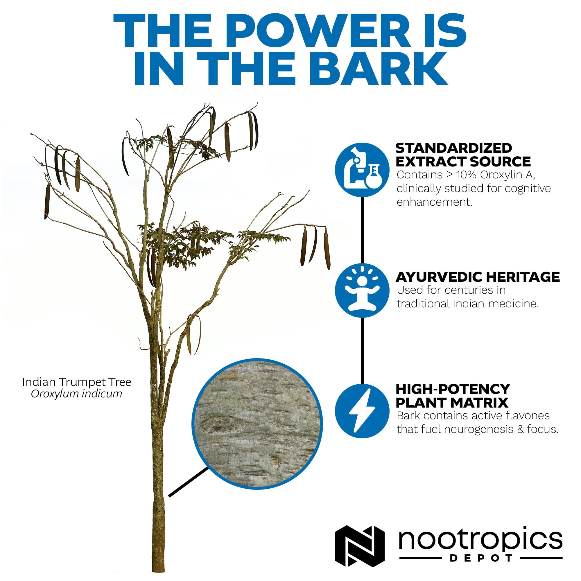 Nootropics Depot Nootropics Depot Sabroxy Tablets | 500mg | 60 Count | Minimum 10% Oroxylin-A | Oroxylum indicum | May Help Promote Focus & Motivation | May Help Promote Cognitive Function