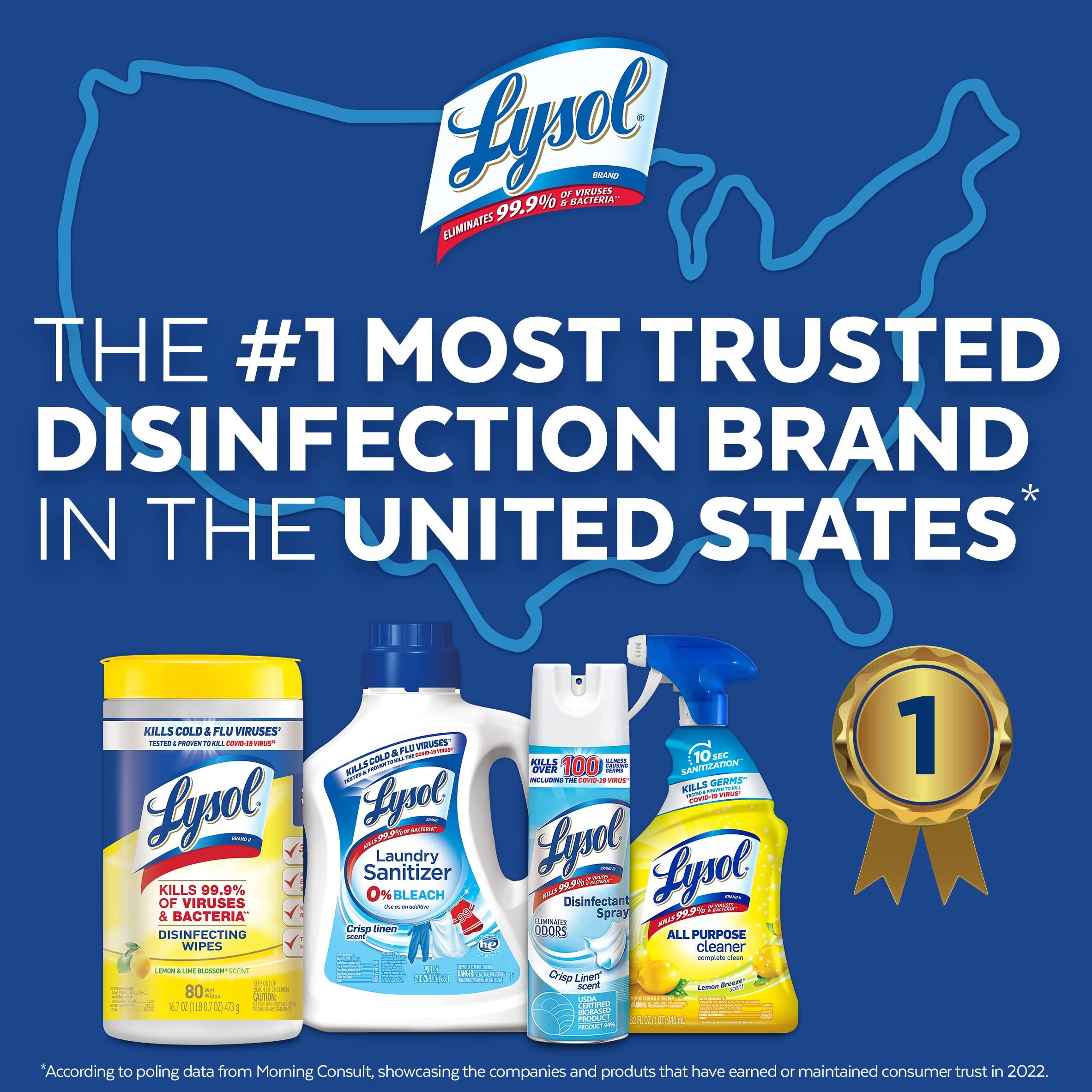 Lysol Lysol Disinfectant Spray, Sanitizing and Antibacterial Spray, For Disinfecting and Deodorizing, Mango & Hibiscus Scent, 19 Fl Oz, (Packaging May Vary)
