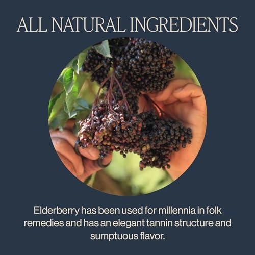 Rishi Tea Rishi Tea Blueberry Hibiscus & Elderberry Healer Herbal Tea - Organic Sachet Tea Bags, Caffeine Free Sleep Friendly Tea Bundle - 15 Count (Pack of 2)