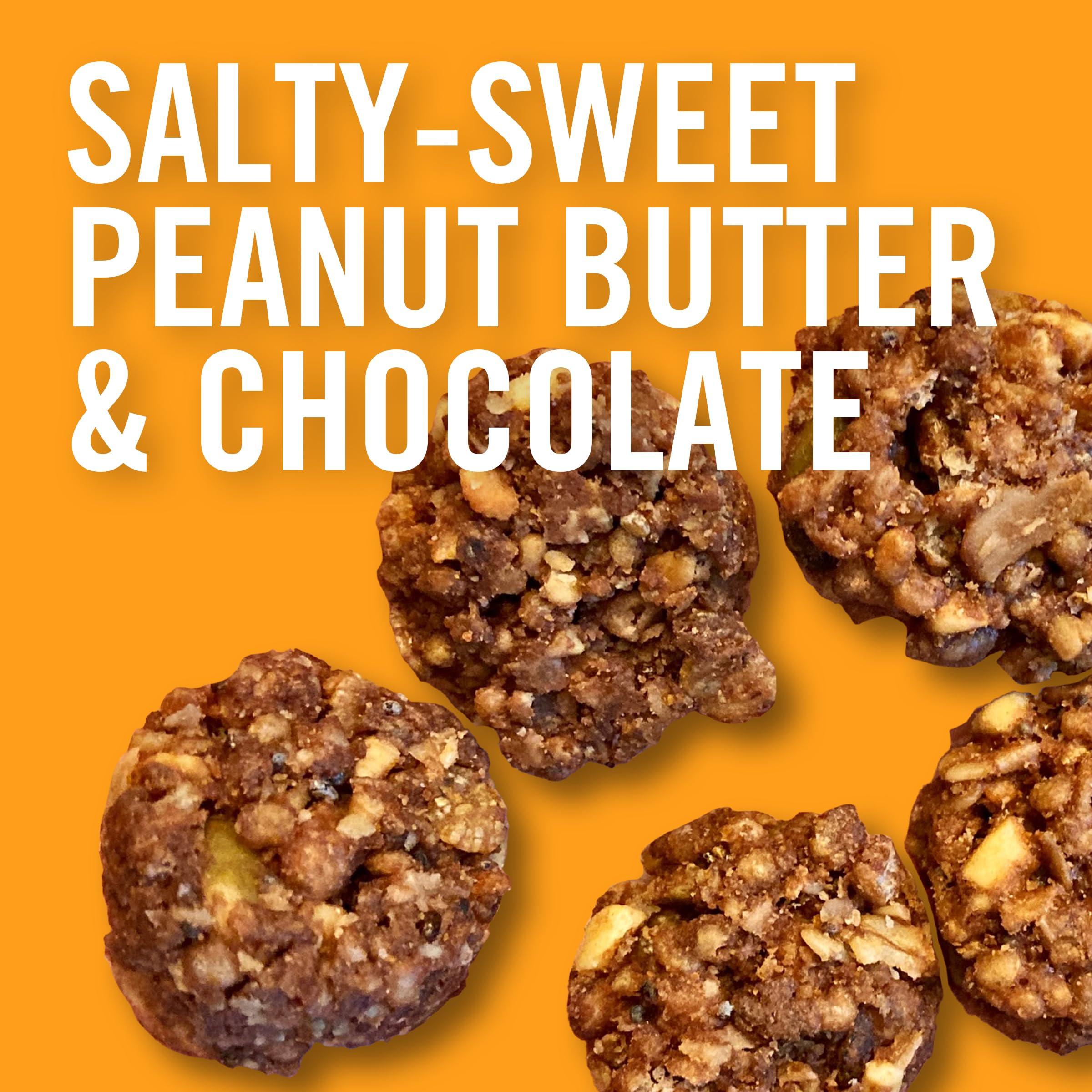 Dave\'s Killer Bread Dave\'s Killer Bread PB & Chocolate Organic Snack Bites, Organic Snacks, 7.2 oz