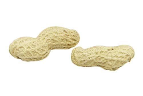 HelenOu666 HelenOu666 Chinese Shandong Fresh Black-skinned Peanuts (unshelled peanuts, 500g/17.6oz)