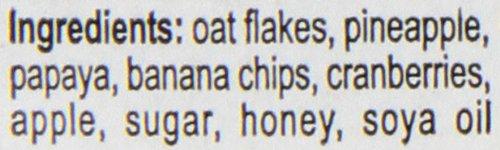 Galil Galil Granola with Dried Fruits, 17.85-Ounce Packages (Pack of 4)