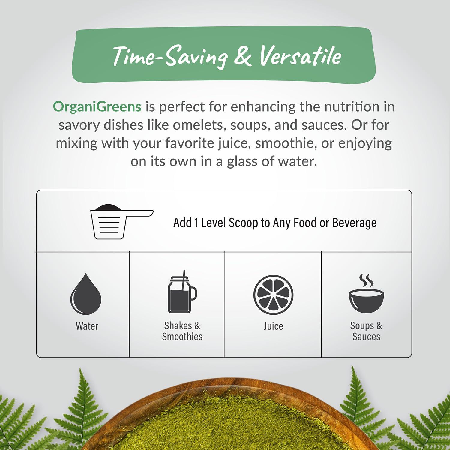 Organixx Organixx Greens Superfood Powder with Probiotic Digestive Enzymes, Gluten Free, Vegan, Daily Super Greens Powder Supplement Drink Mix for Gut Health, Immune Support & Energy, Organic, Non GMO, 10 oz