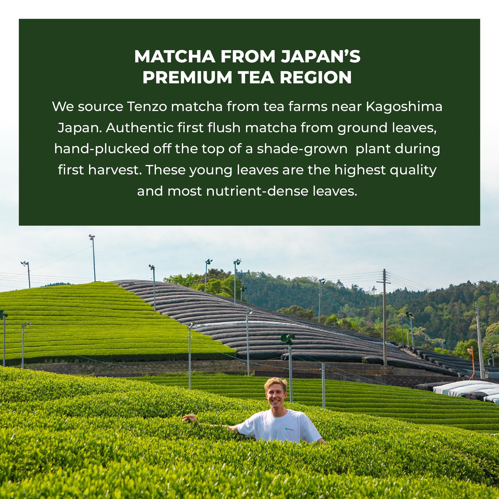 Tenzo Tea Tenzo Matcha Green Tea Powder BetterBoost (1.06 Ounce) with 100 Prong Bamboo Whisk