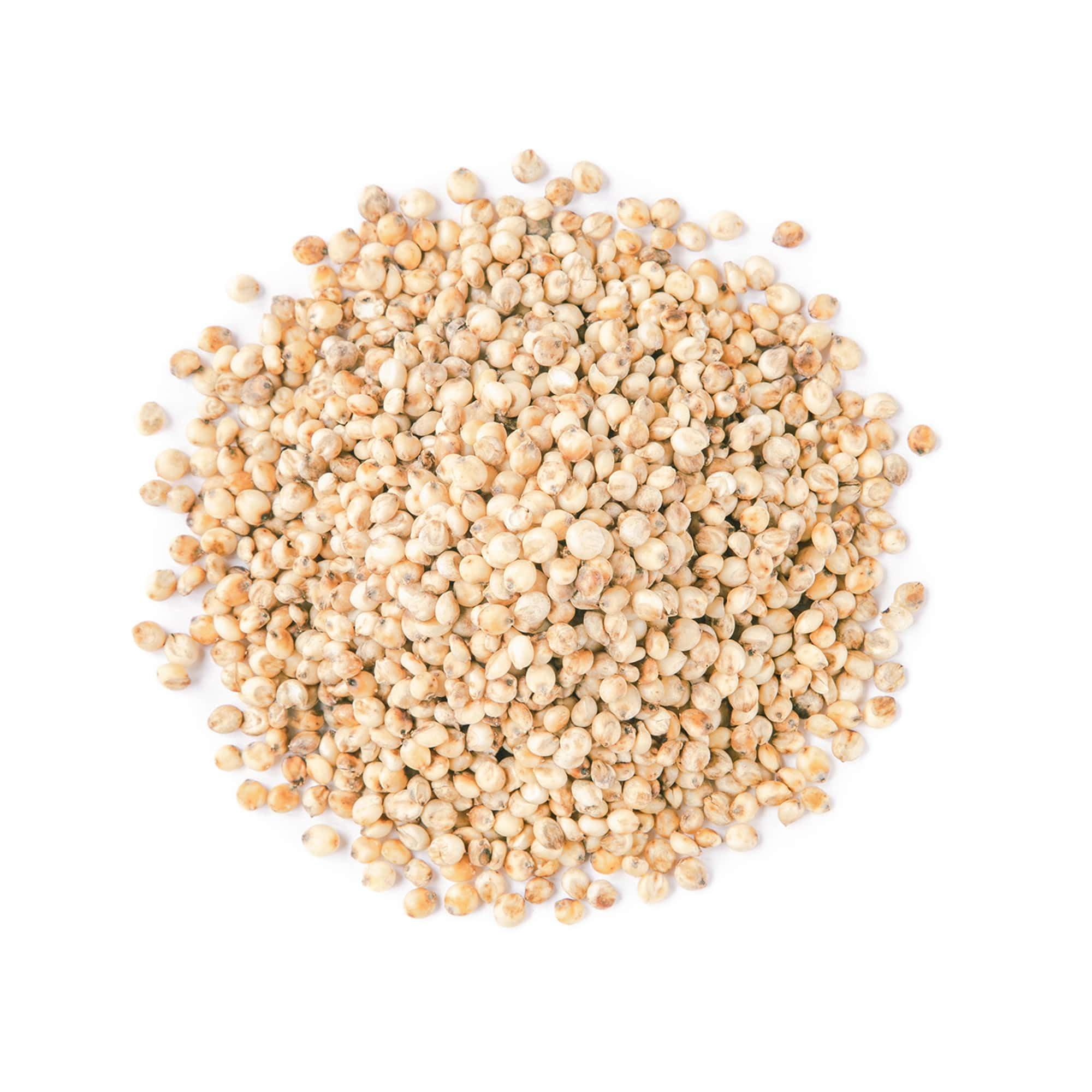 Food to Live Food to Live Whole Grain Sorghum, 1 Pound Premium White Groats. Raw Milo Seeds. Vegan, Bulk Broom-corn. Durra is Great for Making Flour and Popped Jowar Dhani