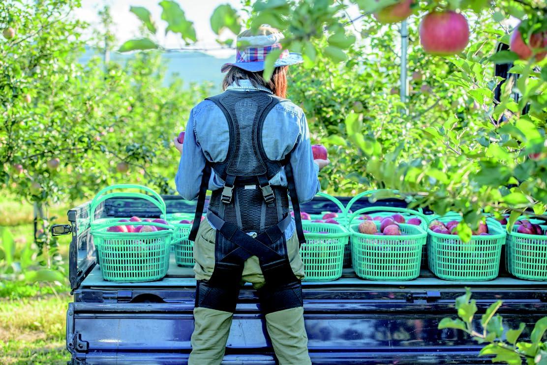 Mediaid Mediaid Textile Exoskeleton Suits for Industrial Labor, Farming and Heavy Lifting l Full-Body Posture Support for Men & Women (Top Medium/Bottom Medium), Black