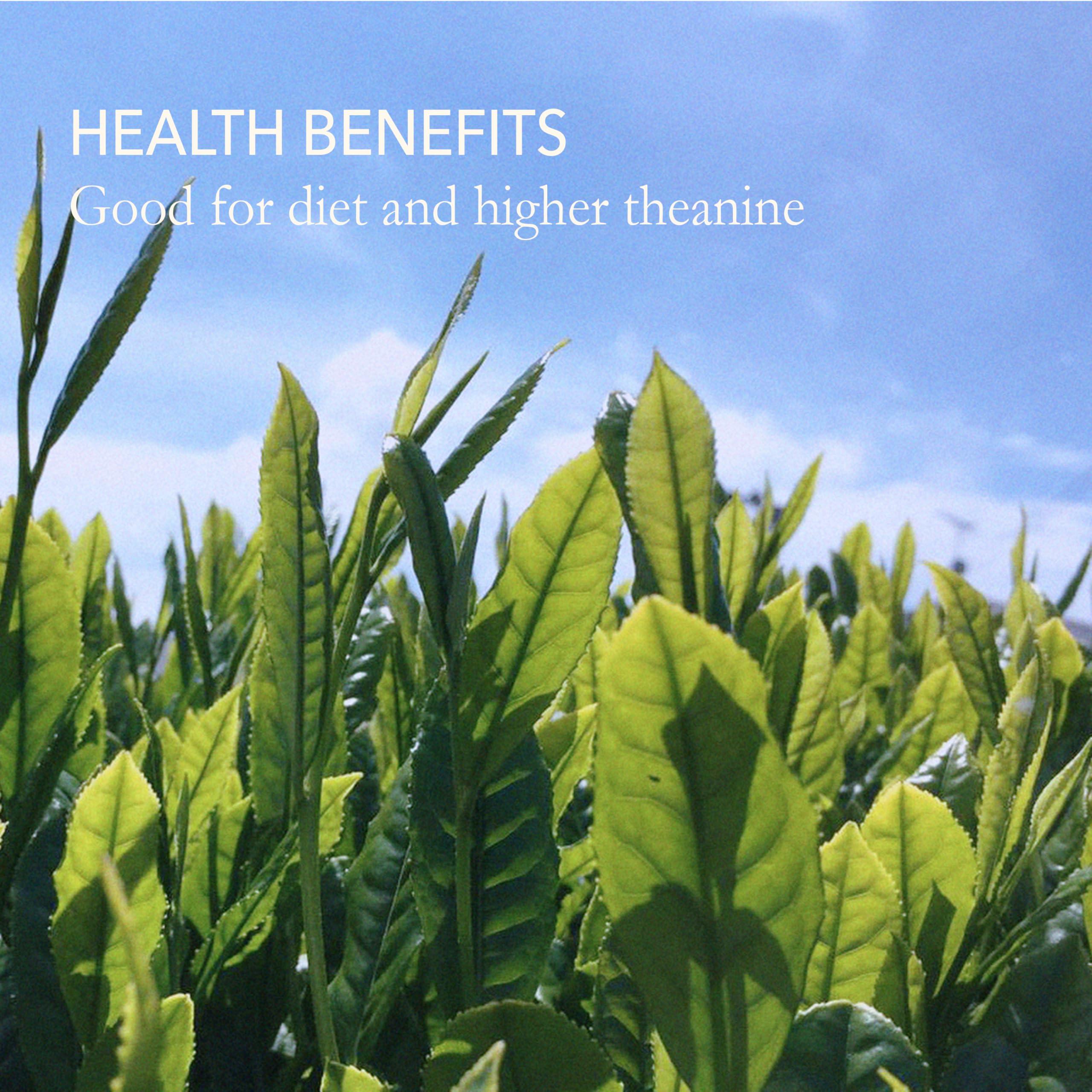 JAPANESE GREEN TEA CO. HARVESTED WITH IN JAPAN Japanese Green Tea Co. Nozomi Japanese Green Loose Leaf Tea - 3.5 Oz (100g) Covered Tea, Kabusecha, Kabuse Fukamushi Sencha - Single-origin from Shizuoka, Rich in Antioxidants