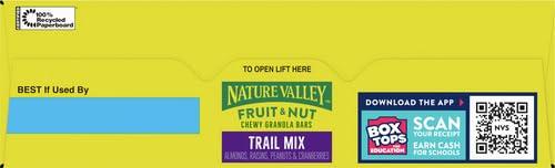Nature Valley Nature Valley Chewy Fruit and Nut Granola Bars, Trail Mix Snack Bars, 12 ct, 14.4 OZ