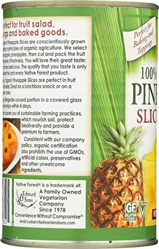 Native Forest Native Forest Pineapple Slices Organic, 15 oz