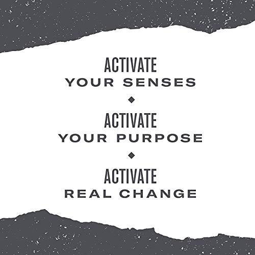 Numi Numi Organic Tea Honeybush, 18 Count Box of Tea Bags (Pack of 3) Herbal Teasan