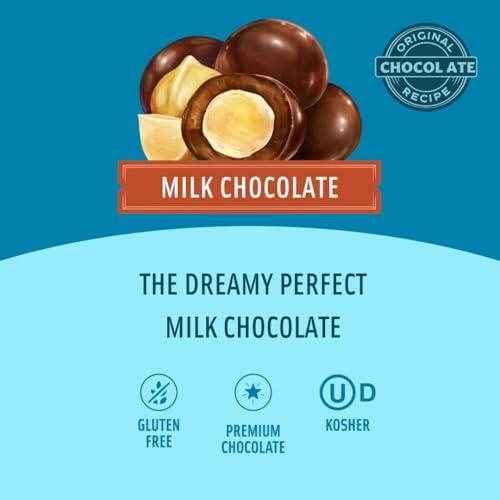 Mauna Loa Mauna Loa Premium Chocolate Covered Macadamia Nuts, Milk Chocolate, 4 Oz Bag (Pack of 1)