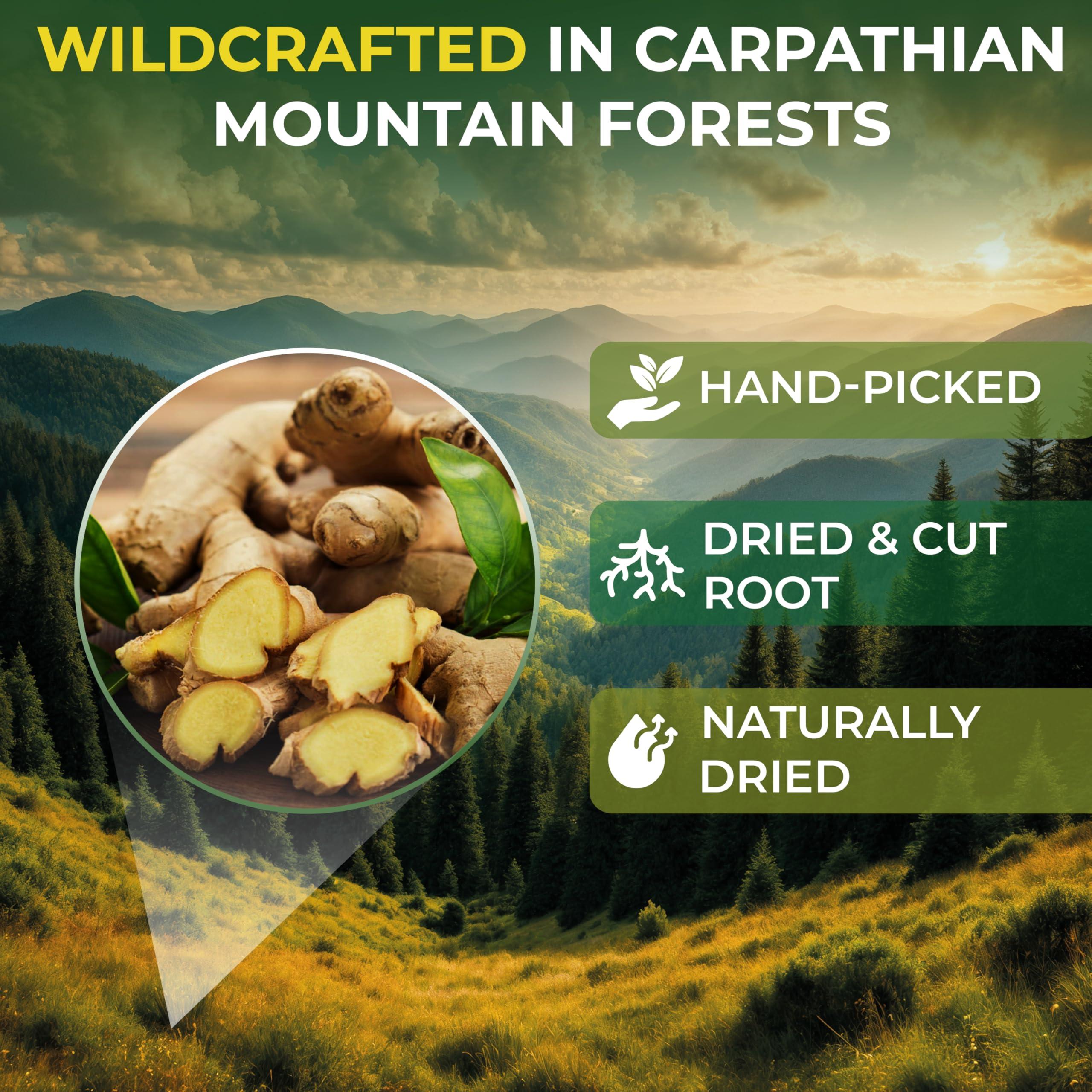 WILDFIELD HERBS 100 Ginger Tea Bags Ginger Root Tea Dry Dried Herb (Zingiber officinale) - 100 Count 1.5g Tea Bags Ginger Raz de jengibre