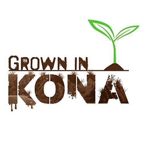 THEO Theo Chocolate Pure Organic Dark Chocolate Bar, 85% Cacao, 12 Pack | Vegan, Fair Trade