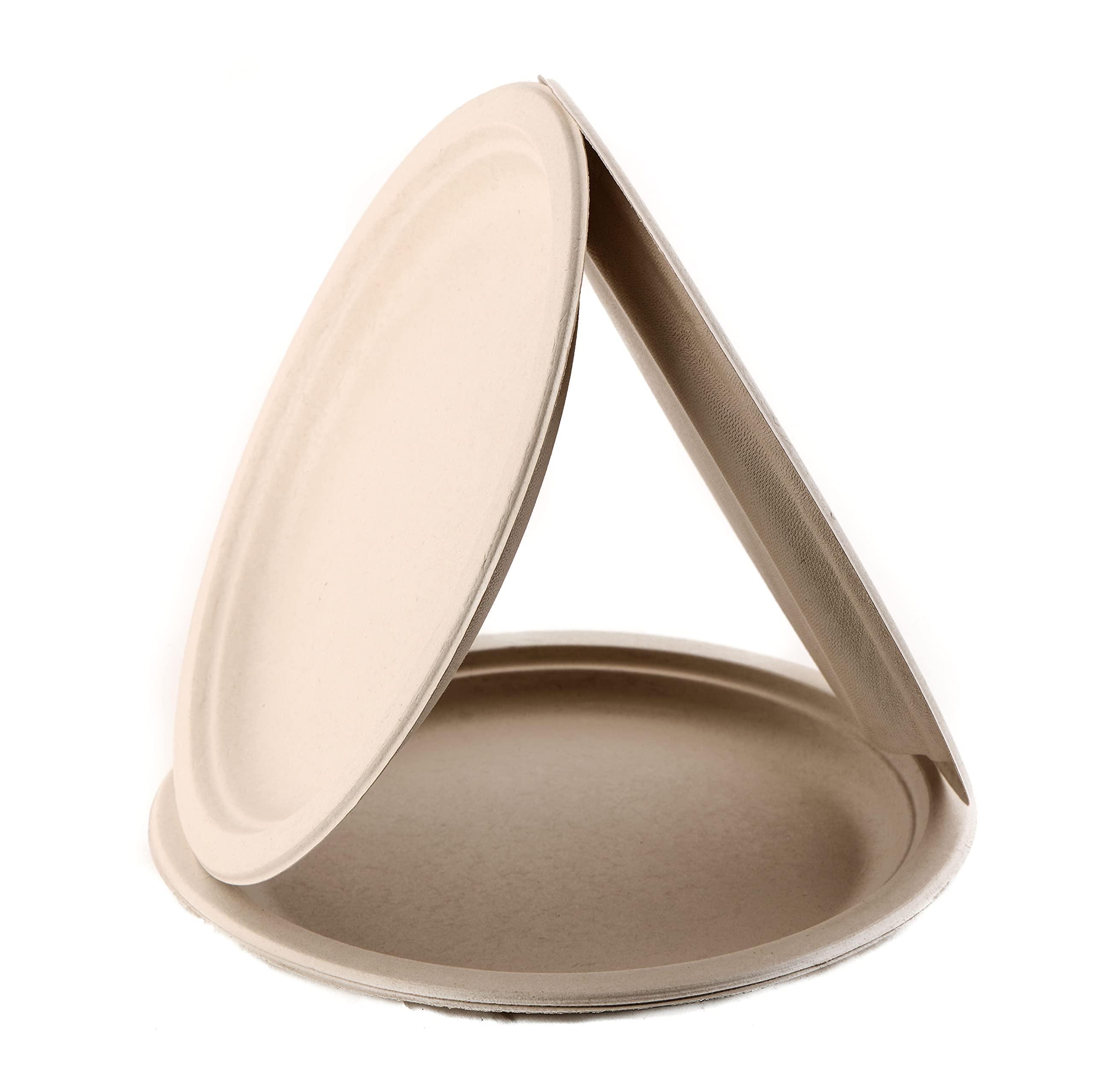 CANADIAN LODGEPOLE PINE POLLEN Canadian Pine Pollen Lodgepole Pine Pollen Powder, 30 GR