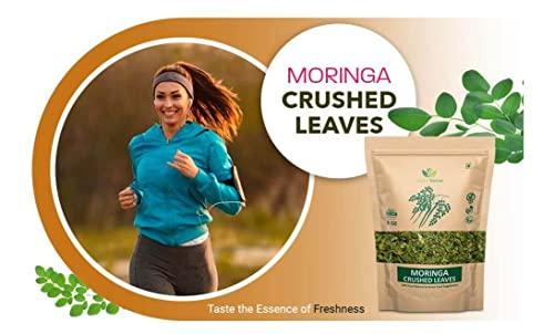 NineLife Basics Moringa Tea Cut Leaves 8 Ounces(0.5 lb), Rich Source of Antioxidants - Green Nectar (2 Pack - 16 Ounces)