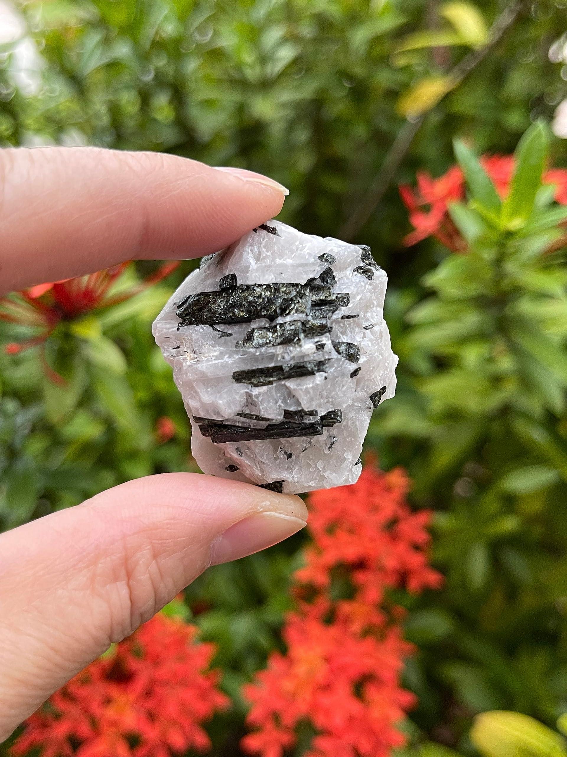 GAF TREASURES WHOLESALE Raw Black Tourmaline with Quartz Crystals, Natural Black Tourmaline with Quartz Stone, Rough Black Tourmaline Quartz, Healing Crystals (Black Tourmaline with Quartz, 0.5 Pound)