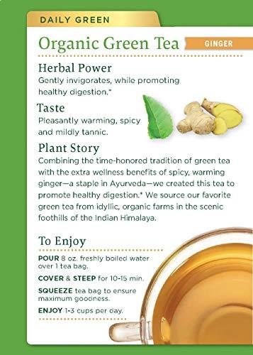 Traditional Medicinals TRADITIONAL MEDICINALS TEA,OG1,GREEN W/GINGER, 16 BAG