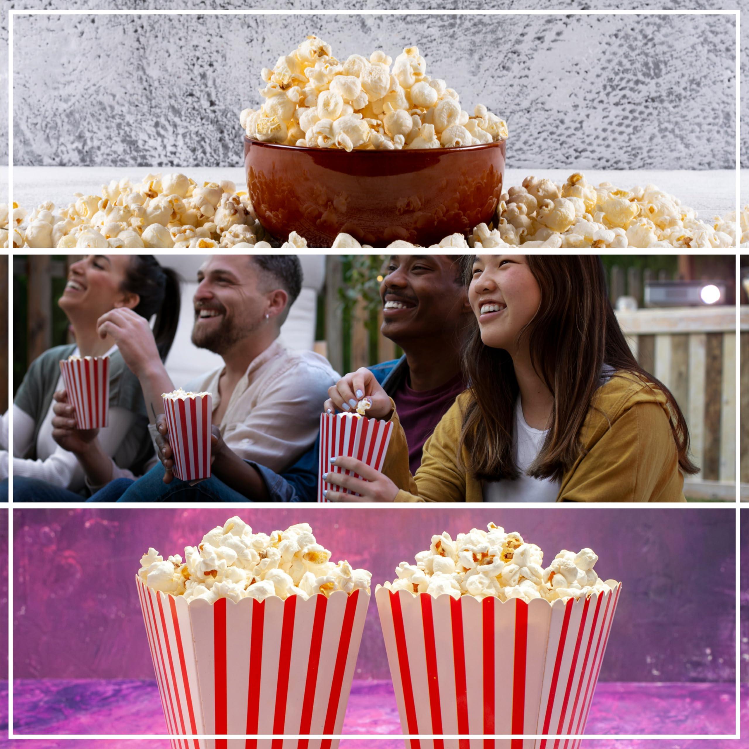 Perfectware 12oz Popcorn Portion Packs - Package of 6ct