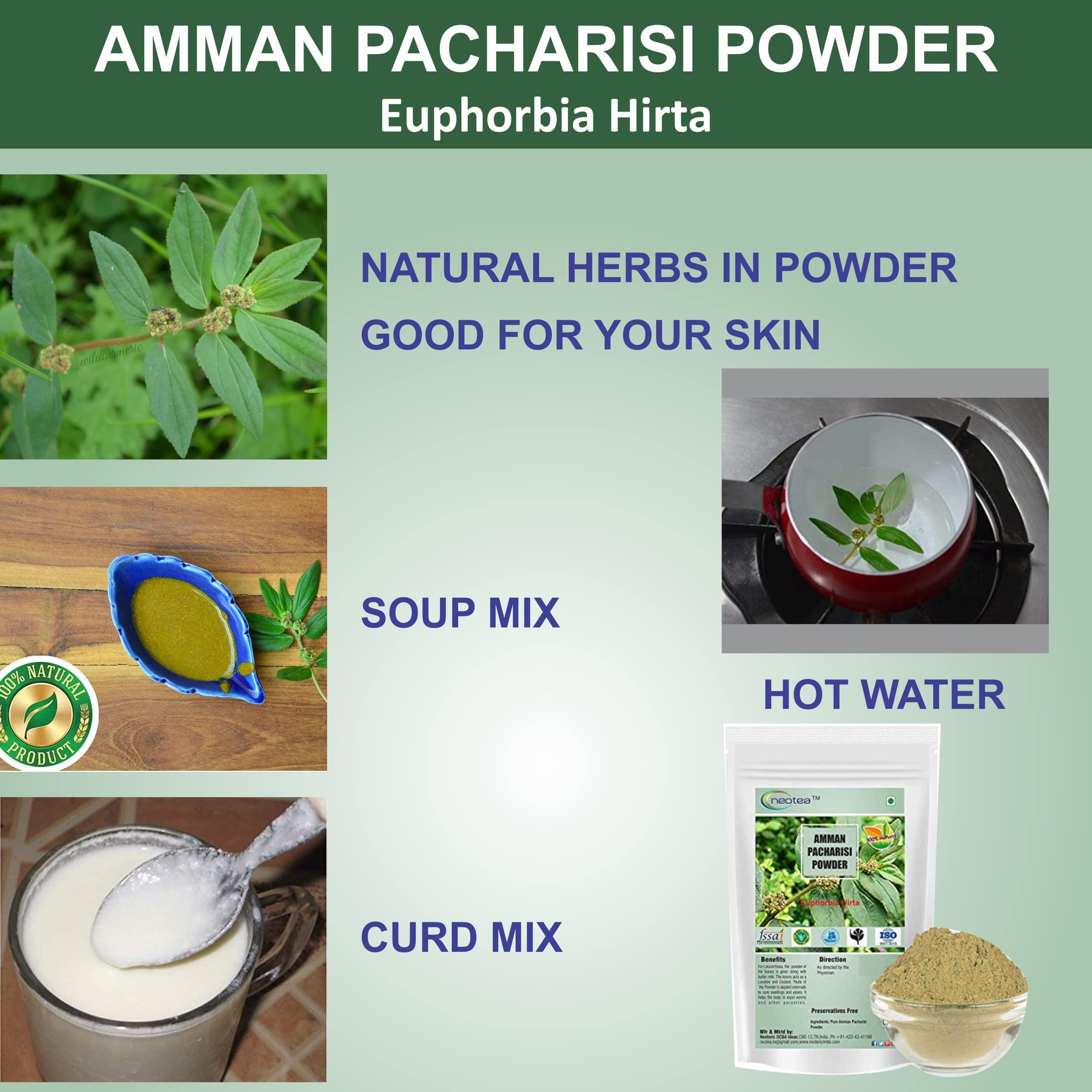 neotea neotea Amman Pacharisi | Euphorbia Hirta Powder 300 GM (10.58 OZ) Pack of 1 | Premium Quality Herbal Supplement | 100% Pure and Natural