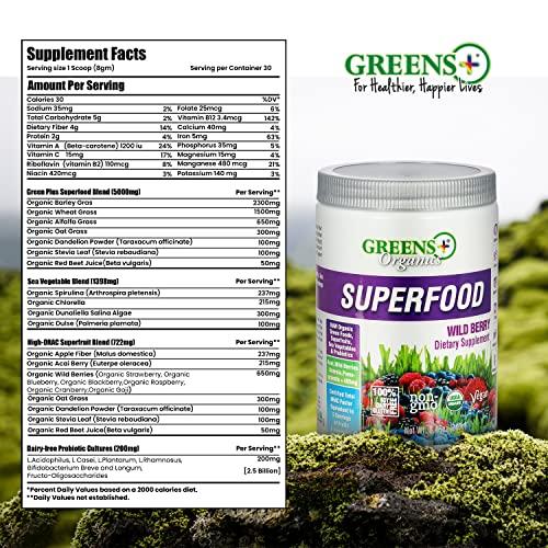 Greens+ Greens+ Organic Wild Berry Superfood Powder, Antioxidant Polyphenol, Blend for Morning Kick, Energy, Vitality Boost, Nutrition, Vibrant Health, Dietary Supplement, Vegan Soy/Dairy/Gluten Free(8.46oz)