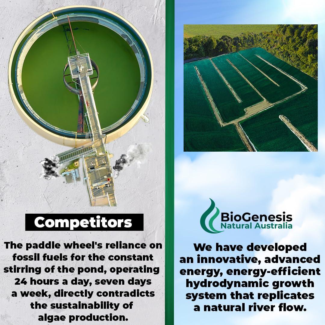 Biogenesis Organic Chlorella Tablets, Australian | Advanced BioDynamic Cracked Cell Wall | Chlorophyll-Rich, Vitamins, Minerals, Chlorella Growth Factor | Supports Good Health | Vegan Tablets (Mixed Berry, 300)