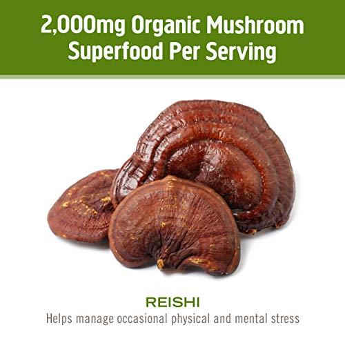 Om Mushroom Superfood Om Mushroom Superfood Reishi Organic Mushroom Powder, 3.5 Ounce, 50 Servings, Adaptogen, Stress & Immune Support, Superfood Mushroom Supplement