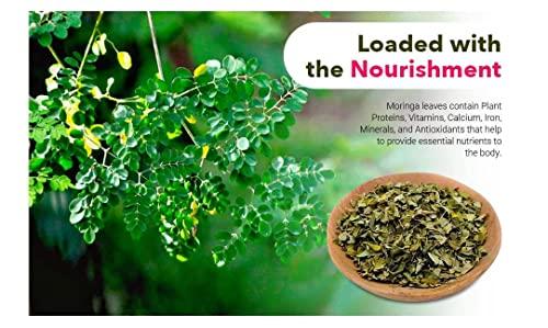 NineLife Basics Moringa Tea Cut Leaves 8 Ounces(0.5 lb), Rich Source of Antioxidants - Green Nectar (2 Pack - 16 Ounces)