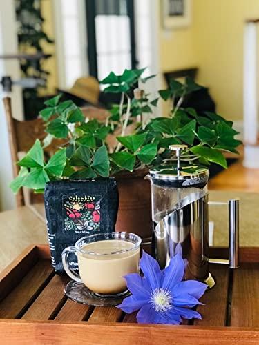 Coffee Beanery Colombian Specialty Coffee | 12oz. Coffee (Automatic Drip Ground)