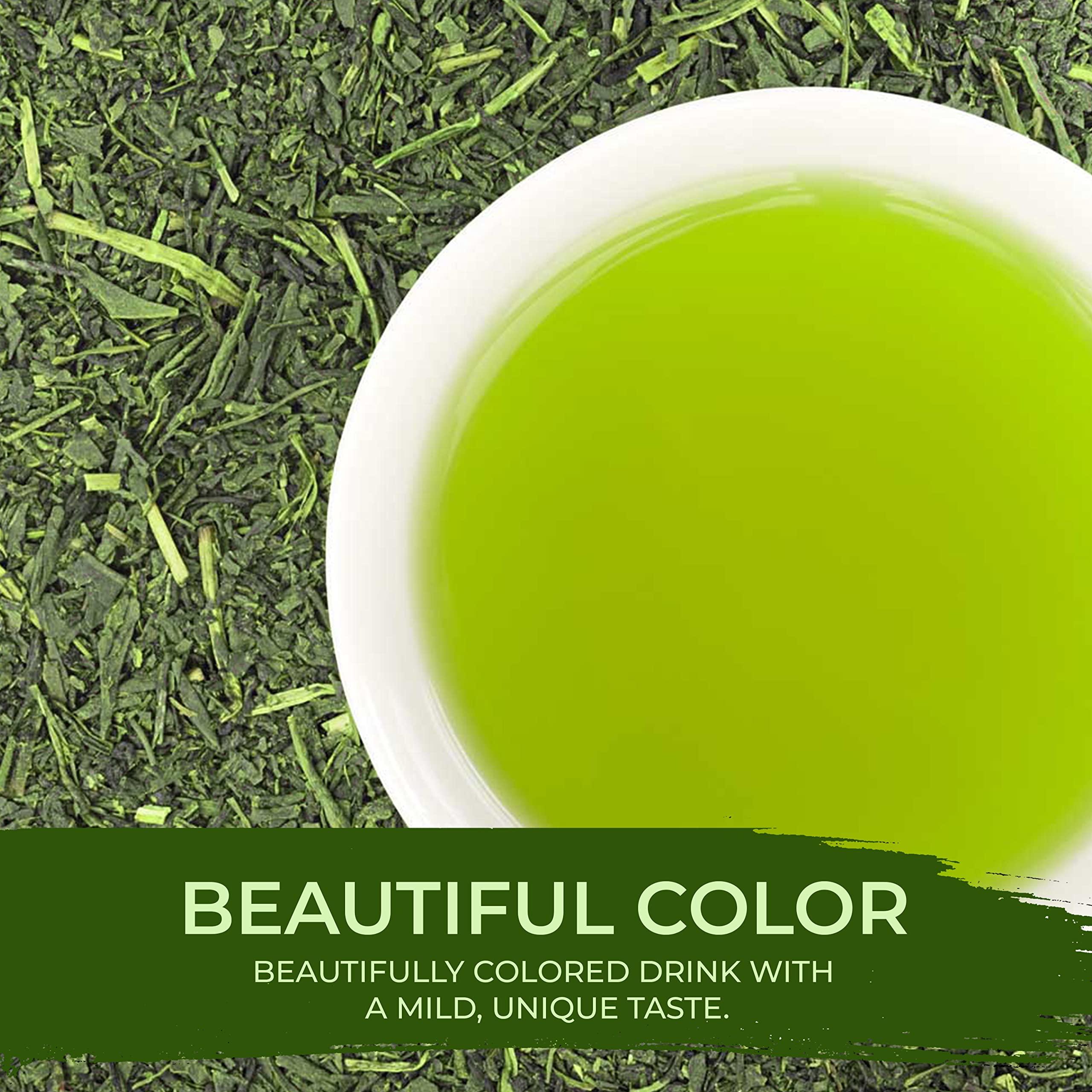 JAPANESE GREEN TEA CO. HARVESTED WITH IN JAPAN Japanese Green Tea Co. Aracha Gokuzyo Japanese Green Tea (50 Pack) Highest-Grade Deep Steamed Sencha Organic Japanese Crude Tea with Intense Aroma and Taste