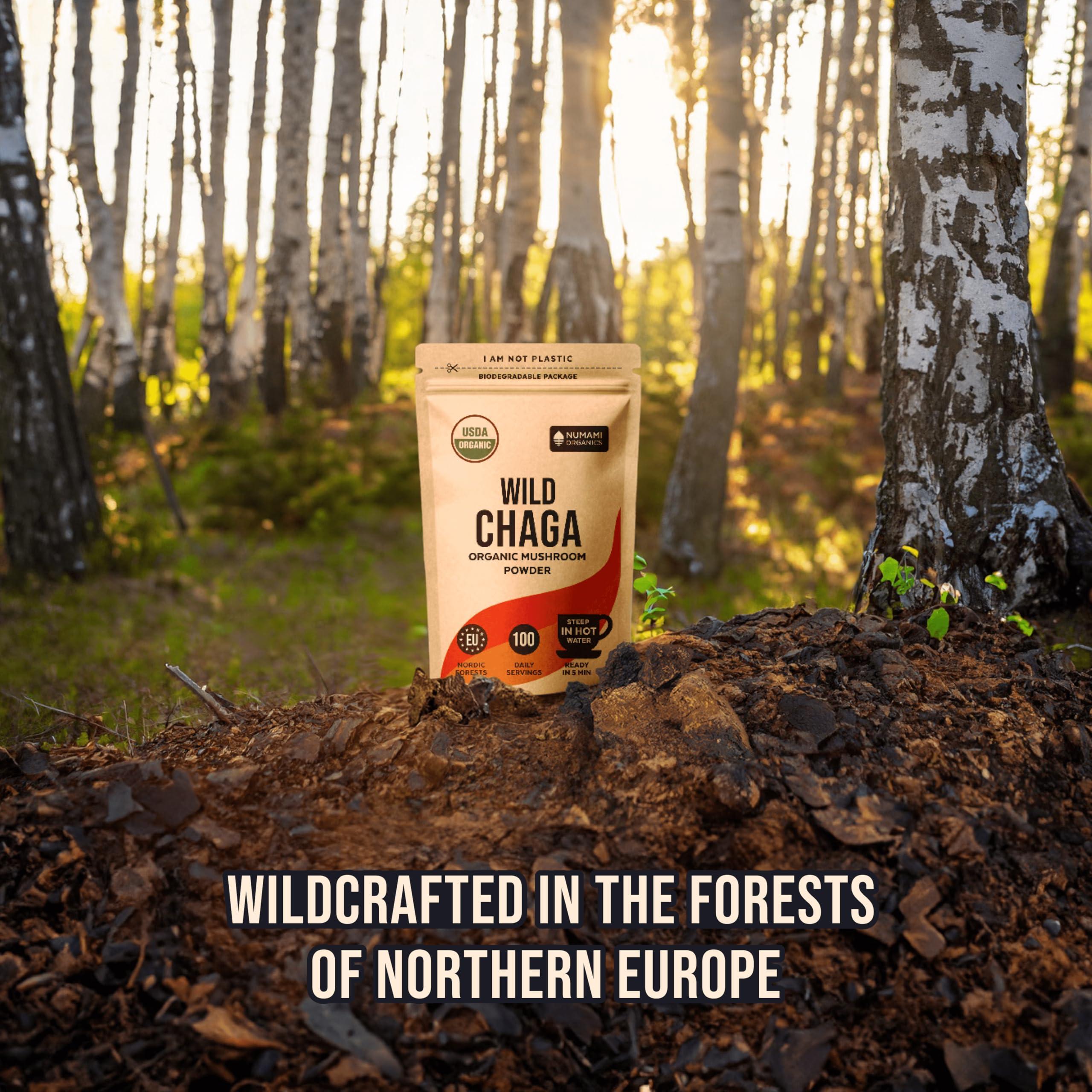 Numami Organic Chaga Mushrooms Powder - Fine Powder to Make Chaga Tea for Immune Defense and More Energy, Organic Chaga is Wild Grown and Sustainably Harvested in Europe, Certified USDA Organic, 100 servings