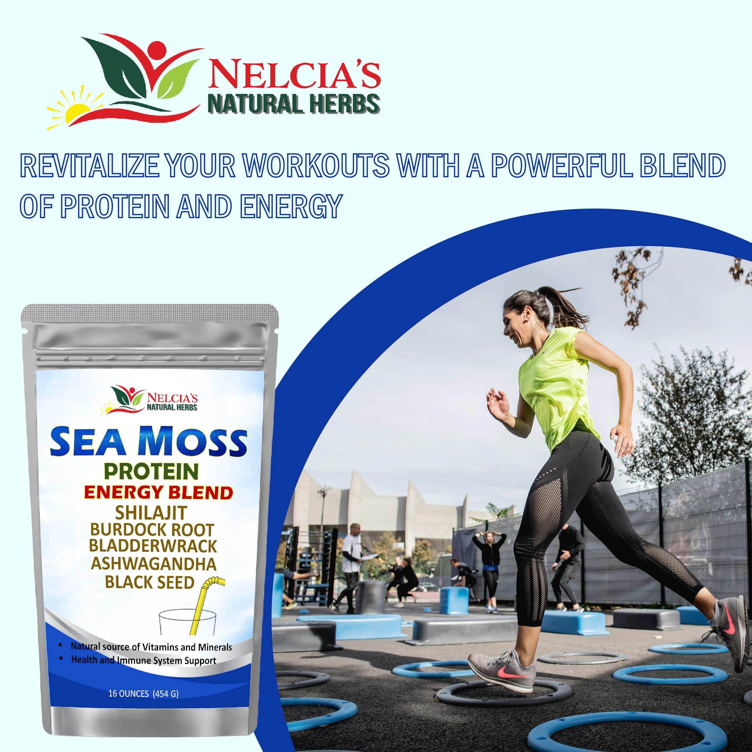 Nelcia'S Natural Herbs Nelcia'S Natural Herbs Sea Moss Ashwagandha Protein Powder -Natural Irish Sea Moss, Bladderwrack and Burdock Root, Black Seed and Shilajit Powder (16oz)