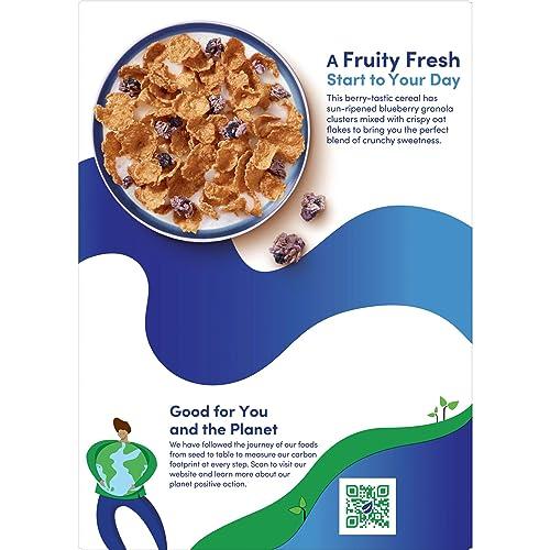 Kashi Kashi Cold Breakfast Cereal, Vegan, Organic Fiber, Blueberry Clusters, 13.4oz Box (1 Box)