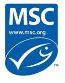 BIG BOLD HEALTH 2 MONTH SUPPLY -Dutch Harbor Omega | Omega 3 Liquid Fish Oil Supplement | 8 oz., 50 Servings, Natural Lemon Flavor |Wild Alaskan Cod Liver Fish Oil |Includes Omega-3 Fatty Acids with DPA, DHA, & EPA