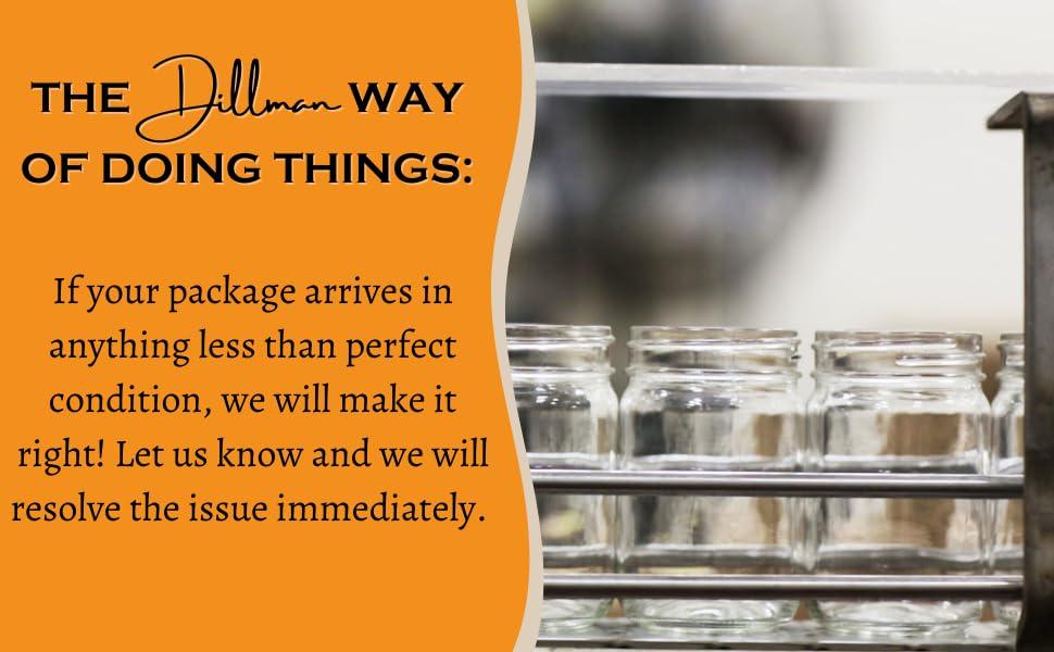 Dillman Farm Dillman Farm All Natural Mango Salsa - Gluten-Free, Non-GMO, Vegan, Kosher, Eco-Friendly, Preservative Free, Corn Syrup Free - Made in USA, 13oz (Pack of 6)