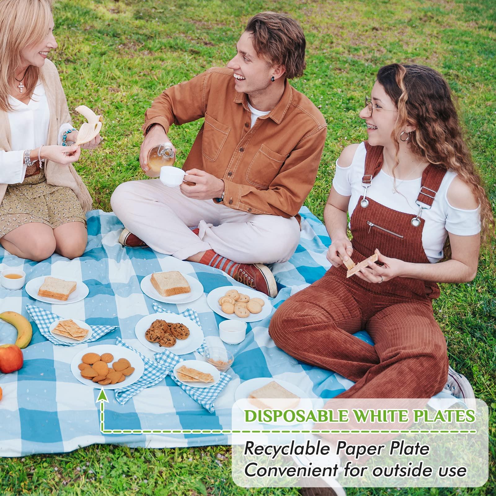 FOCUSLINE FOCUSLINE 6 Inch White Paper Plates 500 Count, Uncoated Paper Plates, Everyday Disposable Dessert Plates 6" Paper Plate Bulk, Pack of 500 Count