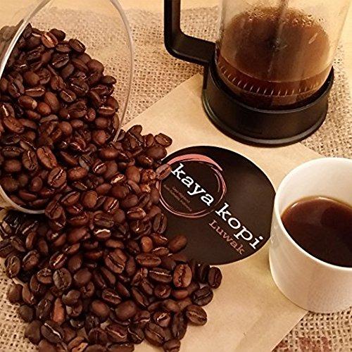 Kaya Kopi Premium Kopi Luwak From Indonesia Wild Palm Civets Arabica Coffee Beans (Kopi Luwak Light Roast, 3.52 Ounce (Pack of 1))