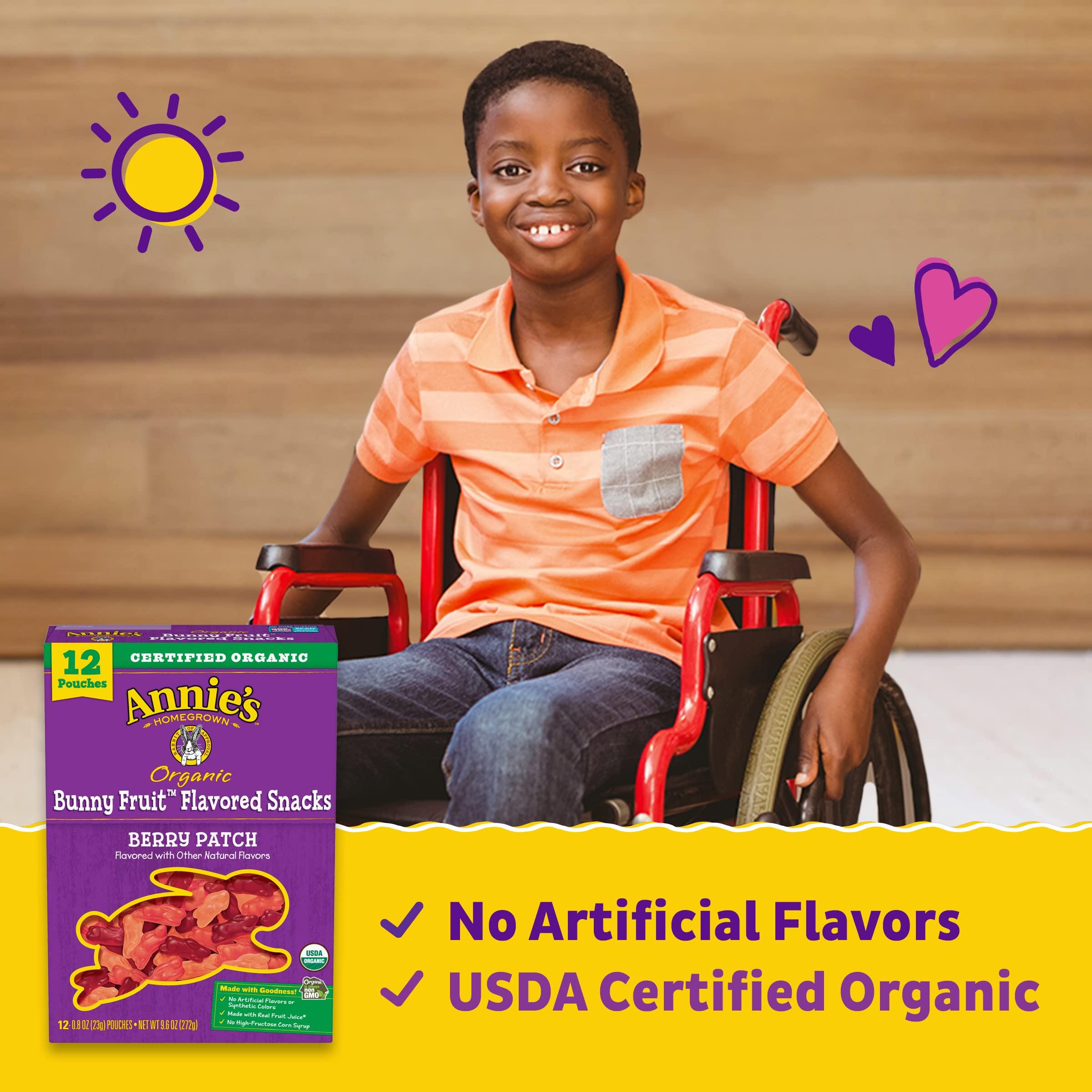 Annie's Homegrown Annie\'s Organic Berry Patch Bunny Fruit Snacks, Gluten Free, 12 Pouches, 9.6 oz.