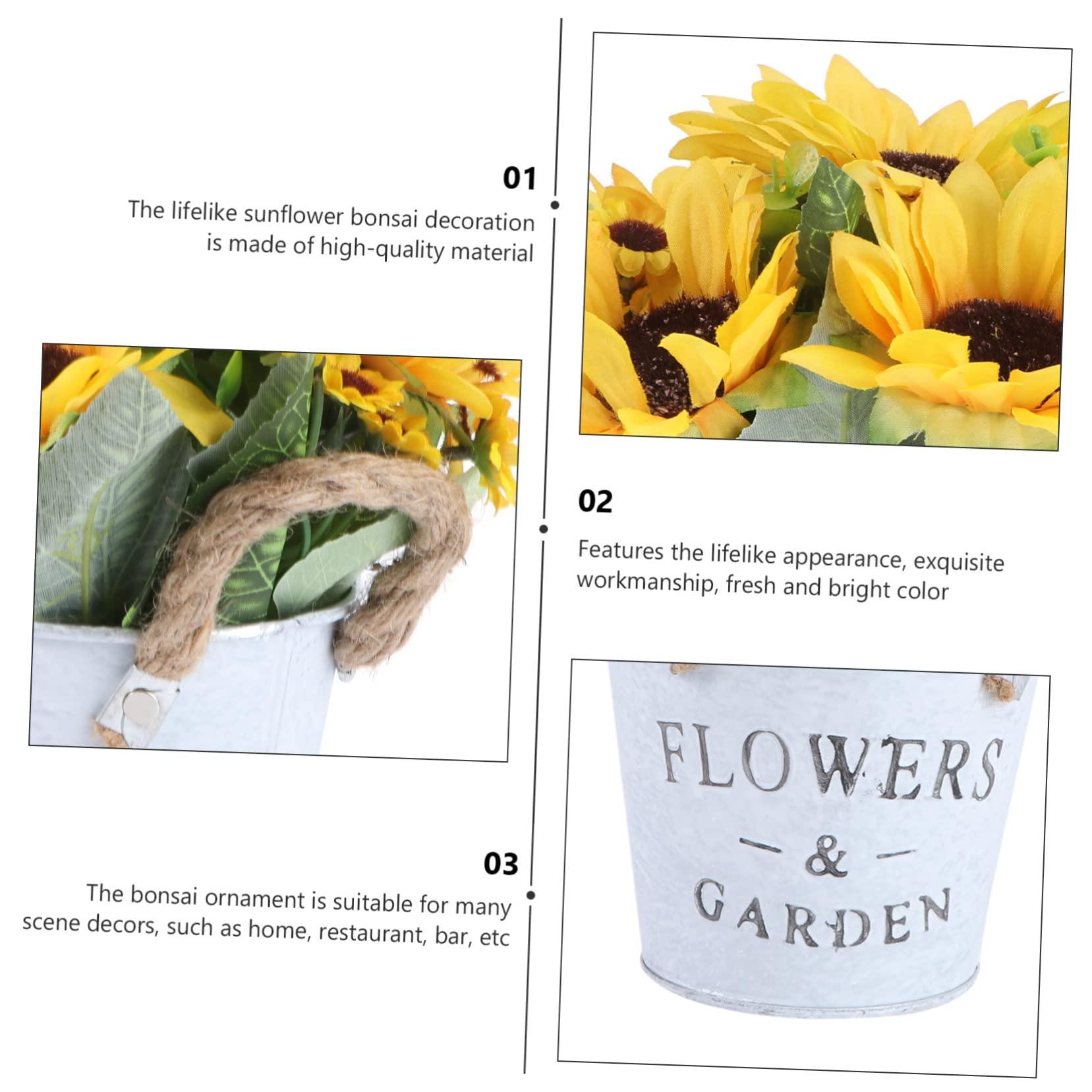 Florastor Florastor Family Probiotic Bundle - 100 ct. Probiotic for Digestive & Immune Health for Men & Women + 20 ct. Kids Daily Probiotic, Unflavored Powder Sticks - Boost Good Bacteria & Flush Out The Bad