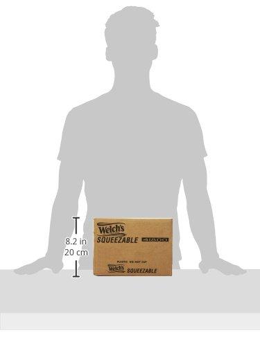 Welch\'s Welch\'s Concord Grape Jelly, No Artificial Flavors or Colors, 20 Ounce Squeeze Bottles (Pack of 12)