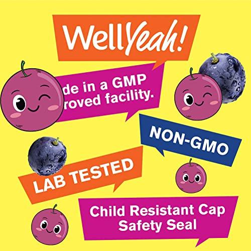 WellYeah WellYeah Iron Gummies for Kids with Vitamin C - Anemia Support, Red Blood Cell Formation, Energy, and Immunity Support Gummy, Iron Supplements for Kids - GMO Free, Natural Grape Flavor - 60 Count
