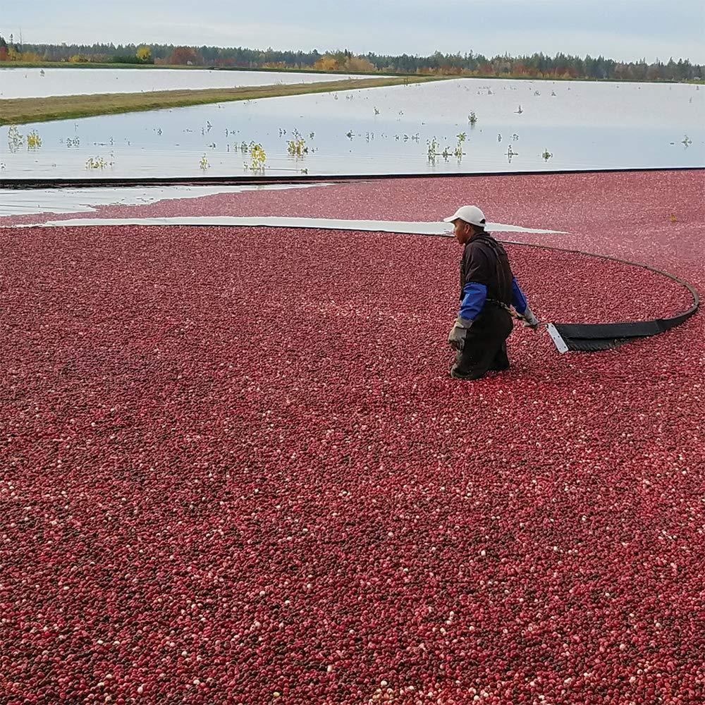 Organic by Mariani Mariani Organic Dried Cranberries, 30 oz