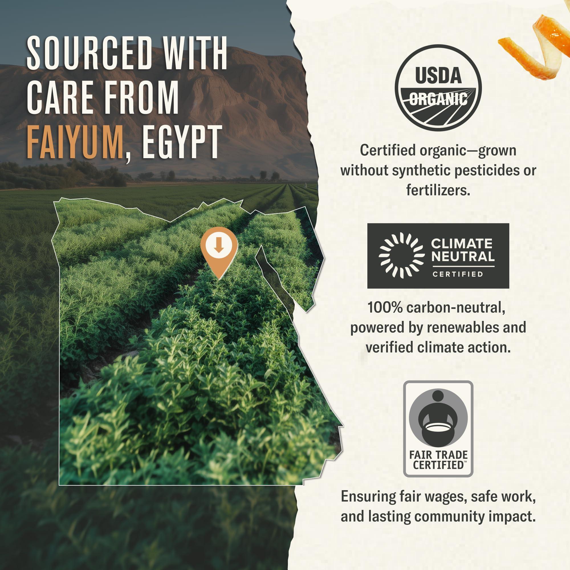 Numi Numi Organic Moroccan Mint Tea, 100 Tea Bags, Refreshing Nana Mint, Caffeine Free Herbal Tea