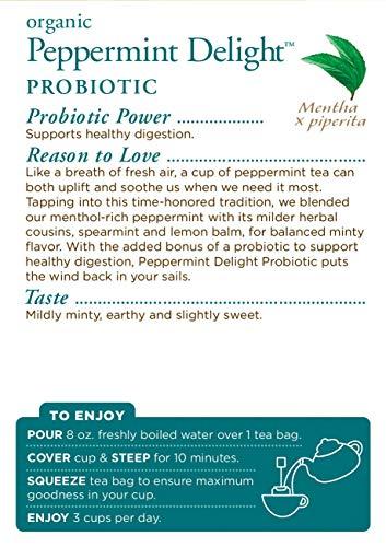 Traditional Medicinals Traditional Medicinals Organic Peppermint Delight Probiotic Tea Supports Healthy Digestion (16 Count (Pack of 6))