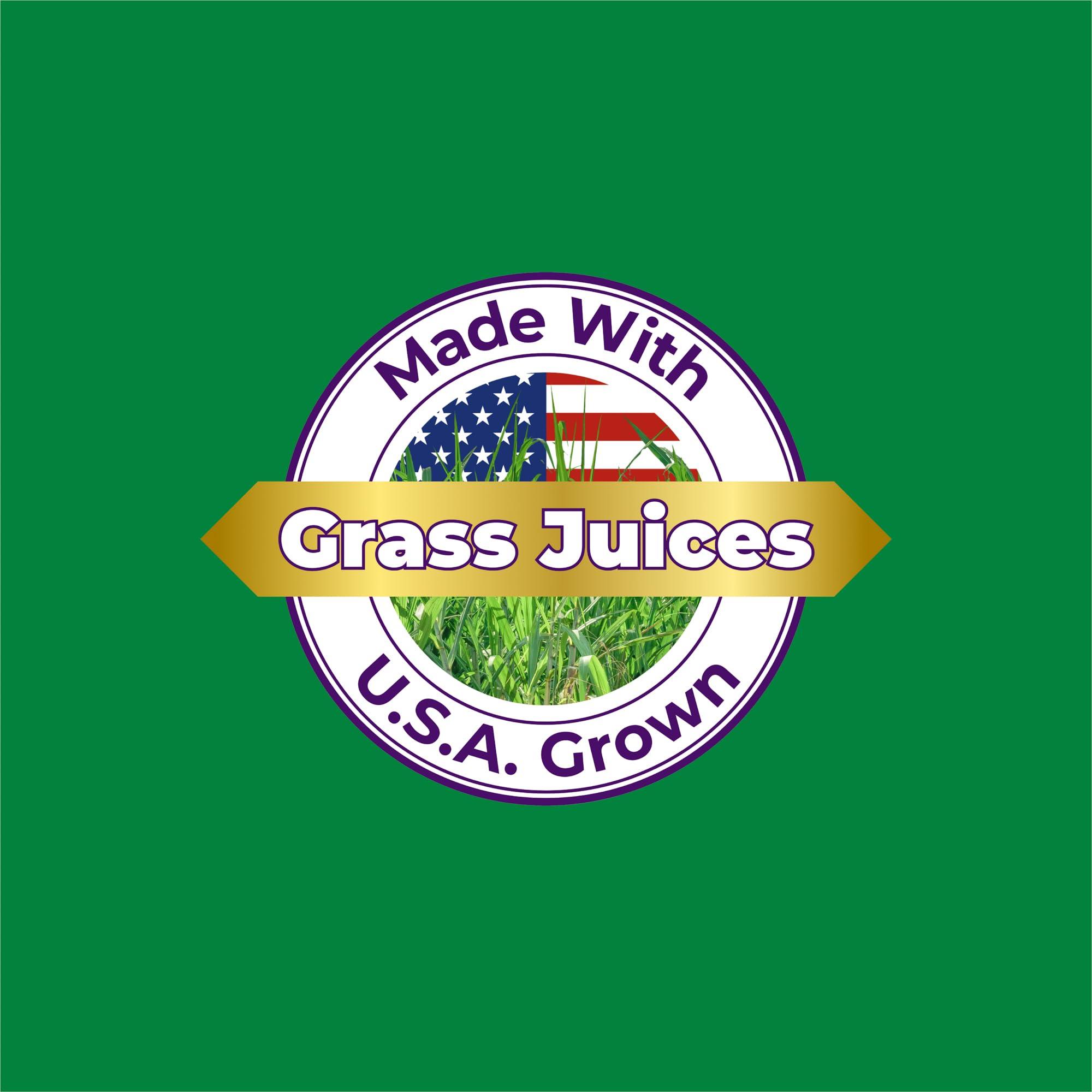 Paradise Herbs Paradise Herbs, ORAC Energy Greens Powder, Antioxidant Power of 24 Servings of Fruits & Vegetables in 1 Scoop, 120 Servings