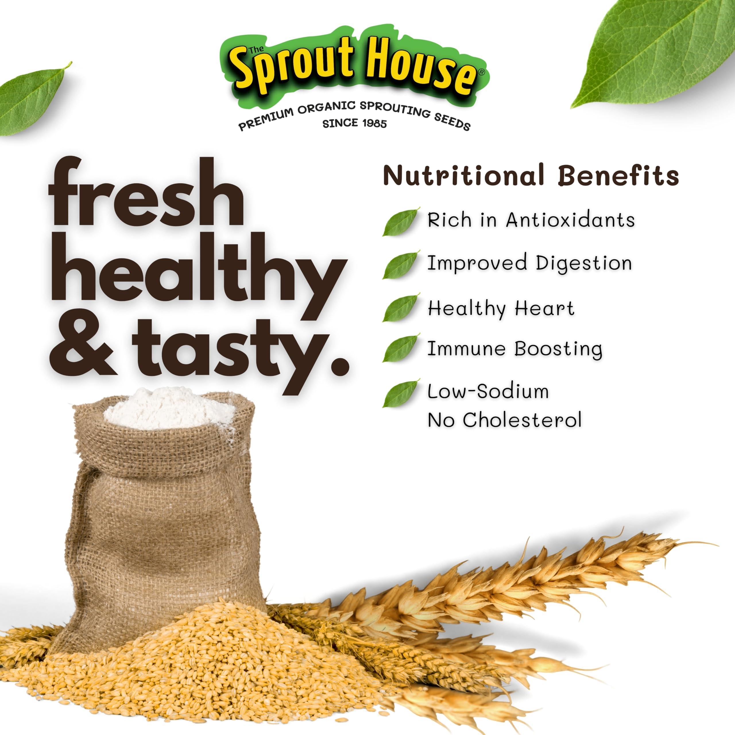 The Sprout House The Sprout House Wheatgrass Seeds 5LB Certified Organic Wheatgrass Seed for Growing - Healthy and Rich in Nutrients, Loaded with Chlorophyll, Cat Grass Seeds, Wheatgrass Growing Seed