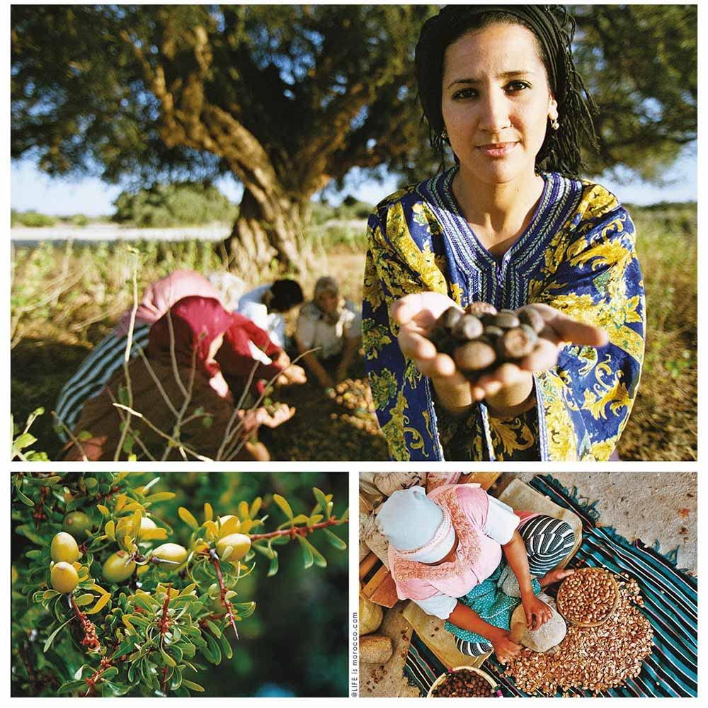 Zayti Edible ARGAN Oil from MOROCCO 100% Organic (100ML)