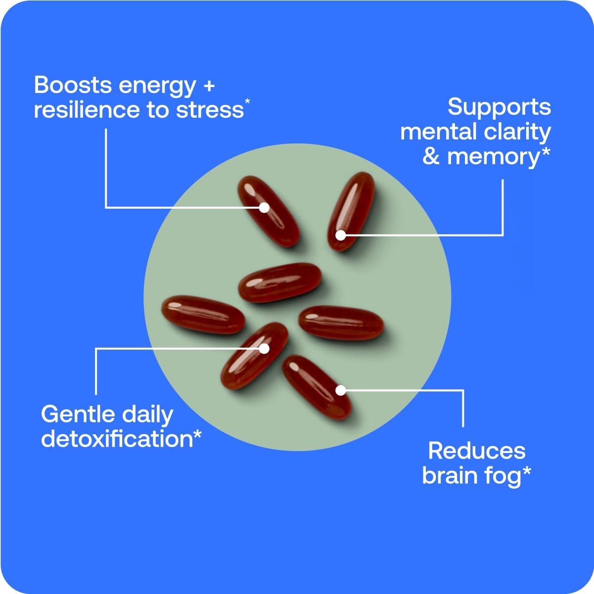 BodyBio BodyBio Phosphatidylcholine 60 Softgels - Nootropic Booster for Brain Health - Mental Clarity for Focus and Memory - Neuroprotection for Healthy Aging