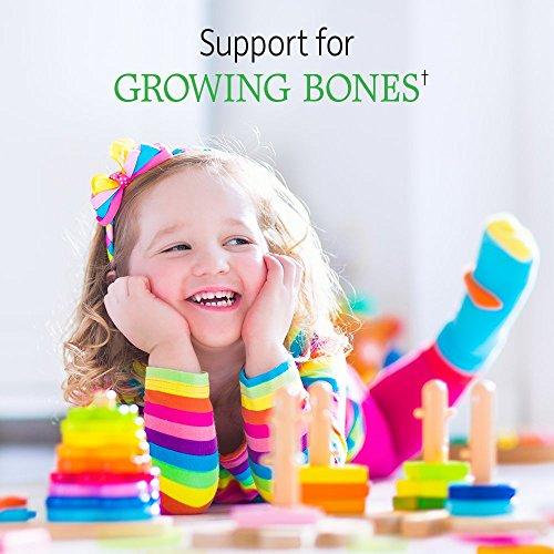 Garden of Life Garden of Life Vegetarian Multivitamin Supplement for Kids - Vitamin Code Kids Chewable Raw Whole Food Vitamin with Probiotics, 30 Chewable Bears